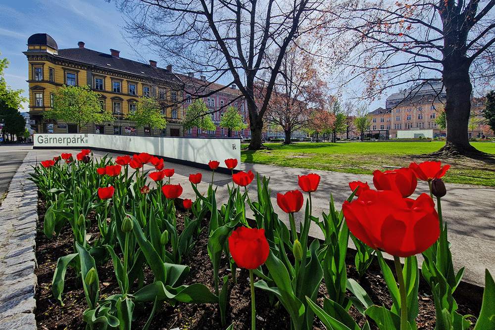 Gaerner Park